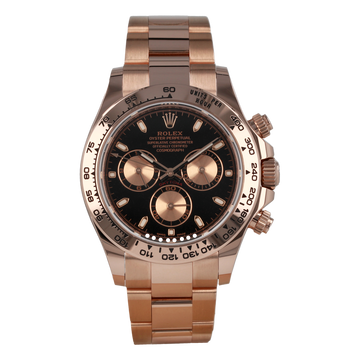 Daytona - Everose Gold